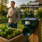 Solar Bird Repellent with PIR Sensor – Bird of Prey Calls Against Pigeons