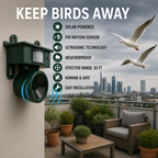 Solar Bird Repellent with PIR Sensor – Bird of Prey Calls Against Pigeons