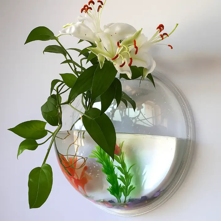 Wandpflanzenhalter ohne Bohren – Vertikaler Garten & Dekorative Fischschale -   Mivoza Deutschland