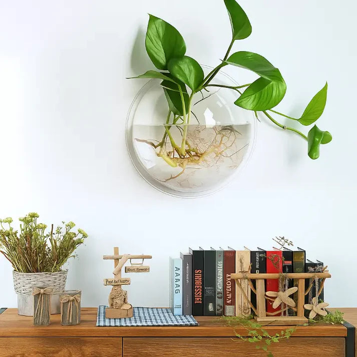 Wandpflanzenhalter ohne Bohren – Vertikaler Garten & Dekorative Fischschale -   Mivoza Deutschland