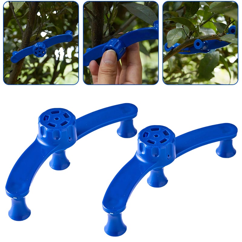 Adjustable plant support for training and growth guidance