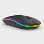 Quiet wireless mouse, Bluetooth 5.2 and USB receiver, rechargeable, RGB