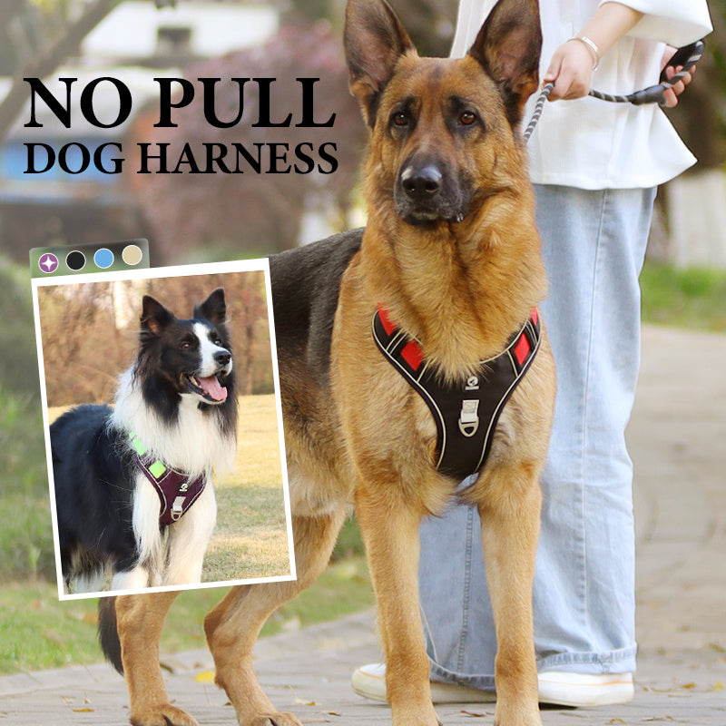 Hundegeschirr Set mit LED-Halsband – Anti-Zieh Design