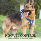 Hundegeschirr Set mit LED-Halsband – Anti-Zieh Design