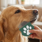 Pet comb with paw print handle