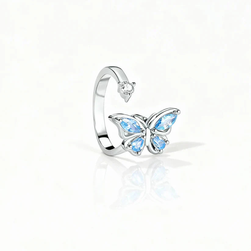 Adjustable Fidget Ring – Rotating Band, Polished Stainless Steel