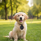 Ultrasound Protection for Pets – Against Fleas, Ticks & Mosquitoes