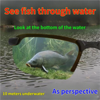 Polarized sunglasses with adaptive lenses