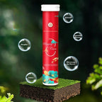 Plant Fertilizer Tablets – Natural Revival for All Plants