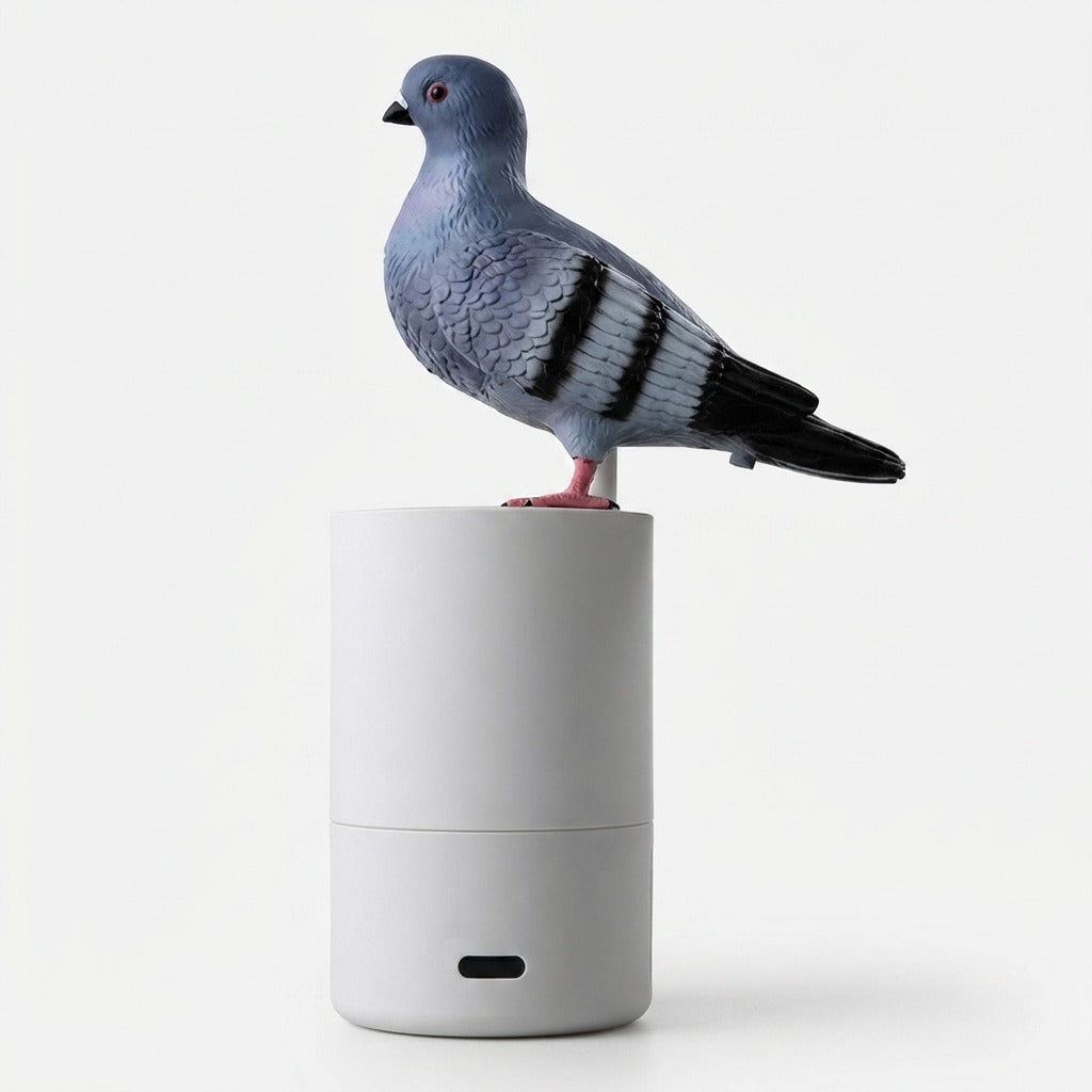 Studio collection image