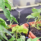 Irrigation system with adjustable sprayers