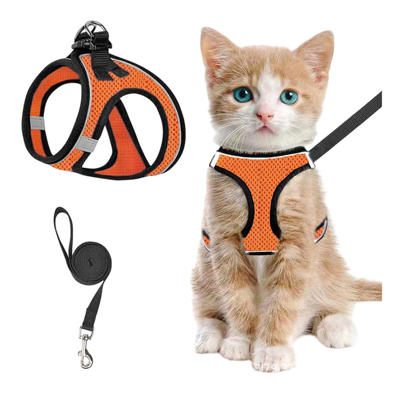 Katzengeschirr mit Luftnetz und Reflektoren
