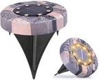 Solar garden light LED with ground spike for path lighting