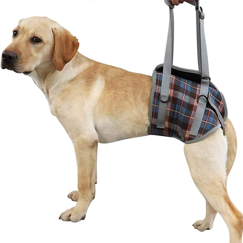 Orthopedic Dog Harness for Hind Legs – Walking Aid for Older Dogs