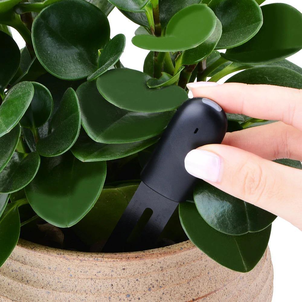 Plant sensor Bluetooth with app control