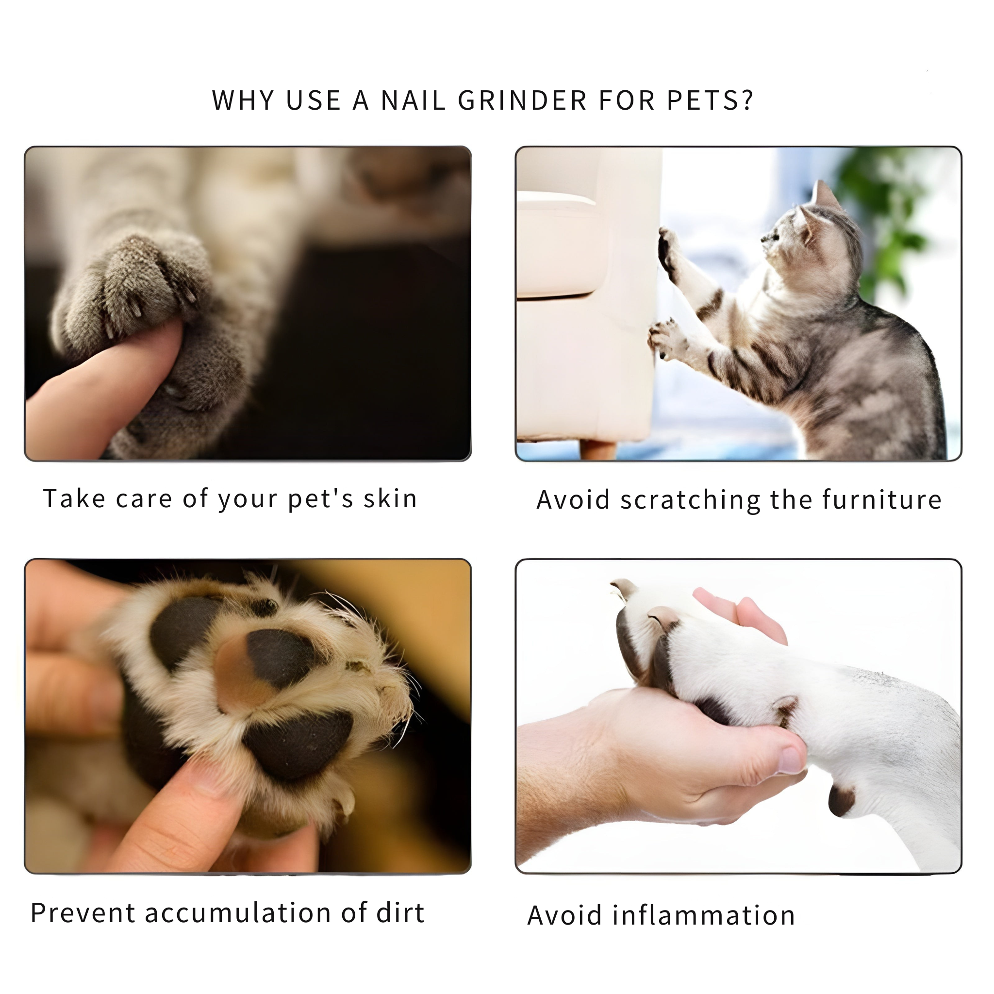 Electric claw grinder for dogs and cats