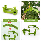Adjustable plant support for training and growth guidance