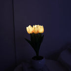 Tulip LED Table Lamp in Ceramic Pot – Warm Decorative Light