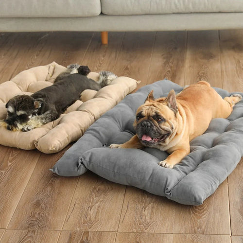 3-in-1 pet bed – Sofa, mat, or sleeping cave in one
