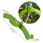 Adjustable plant support for training and growth guidance