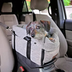 Car dog seat – Safe & padded for small dogs up to 11 kg