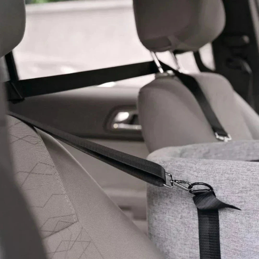 Car dog seat – Safe & padded for small dogs up to 11 kg