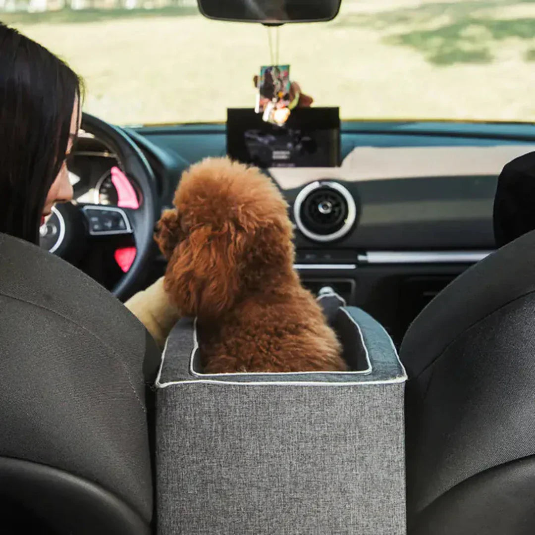Car dog seat – Safe & padded for small dogs up to 11 kg