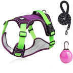 Hundegeschirr Set mit LED-Halsband – Anti-Zieh Design