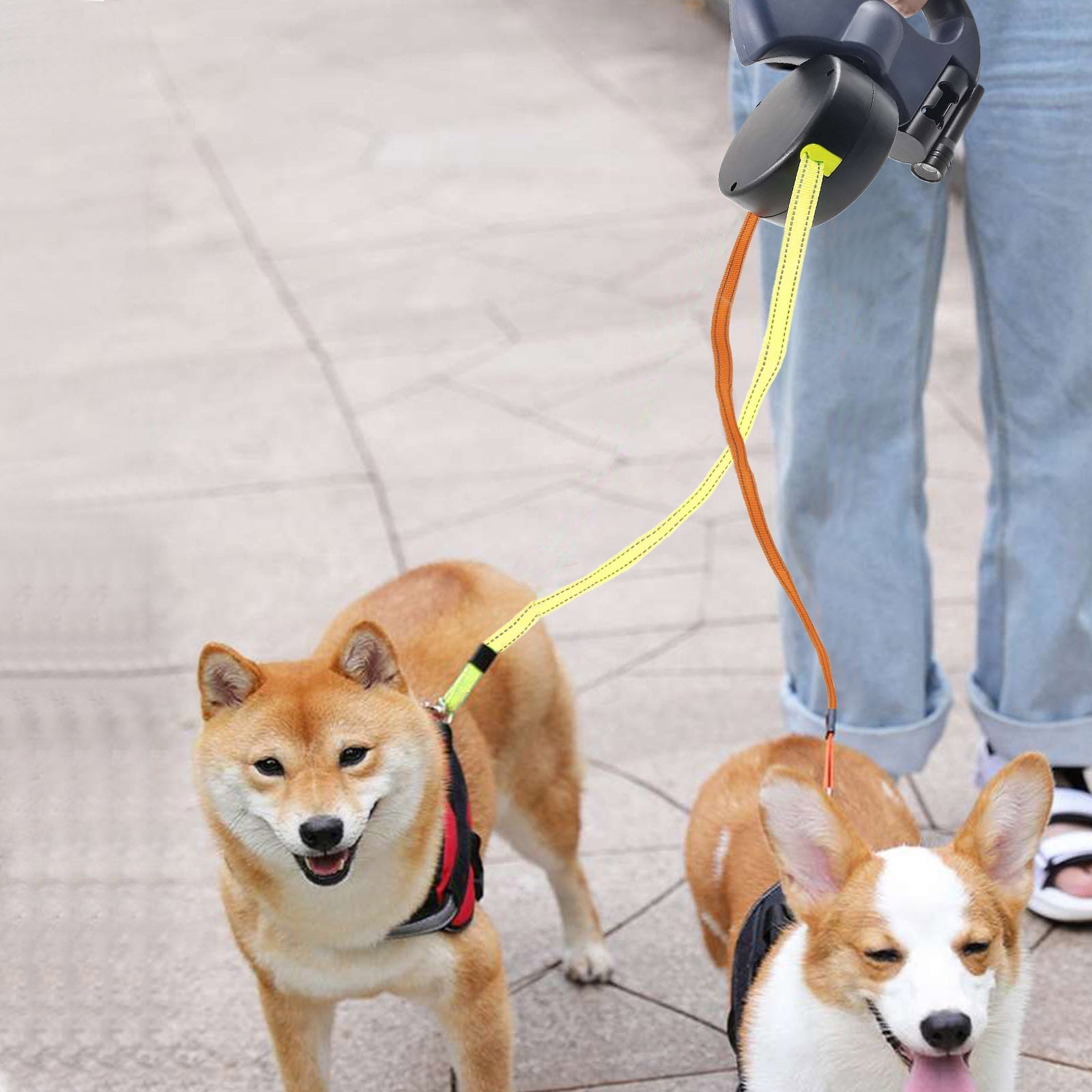 Doppelte Einzieh-Hundeleine mit LED-Taschenlampe – Zwei Hunde gleichzeitig führen
