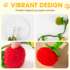 Cat toy string with catnip and bell
