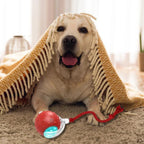 Hundespielzeug Ball mit autonomer Rollbewegung