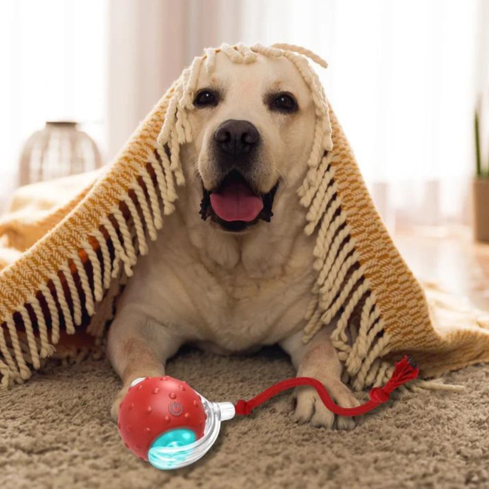 Hundespielzeug Ball mit autonomer Rollbewegung