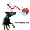 Hundespielzeug Ball mit autonomer Rollbewegung
