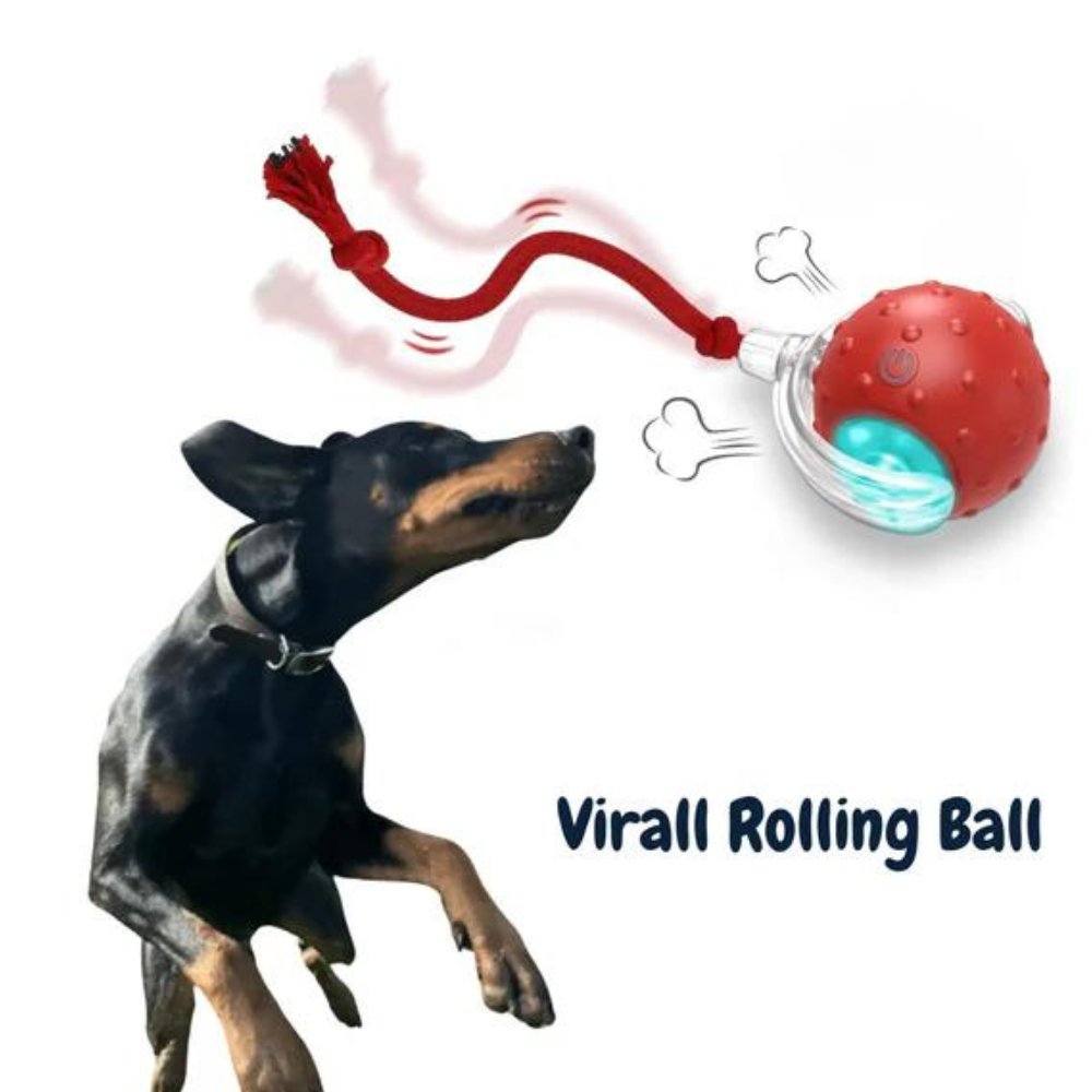 Hundespielzeug Ball mit autonomer Rollbewegung