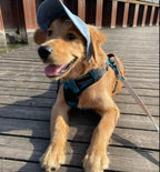 Hundecap mit UV-Schutz und verstellbarem Riemen