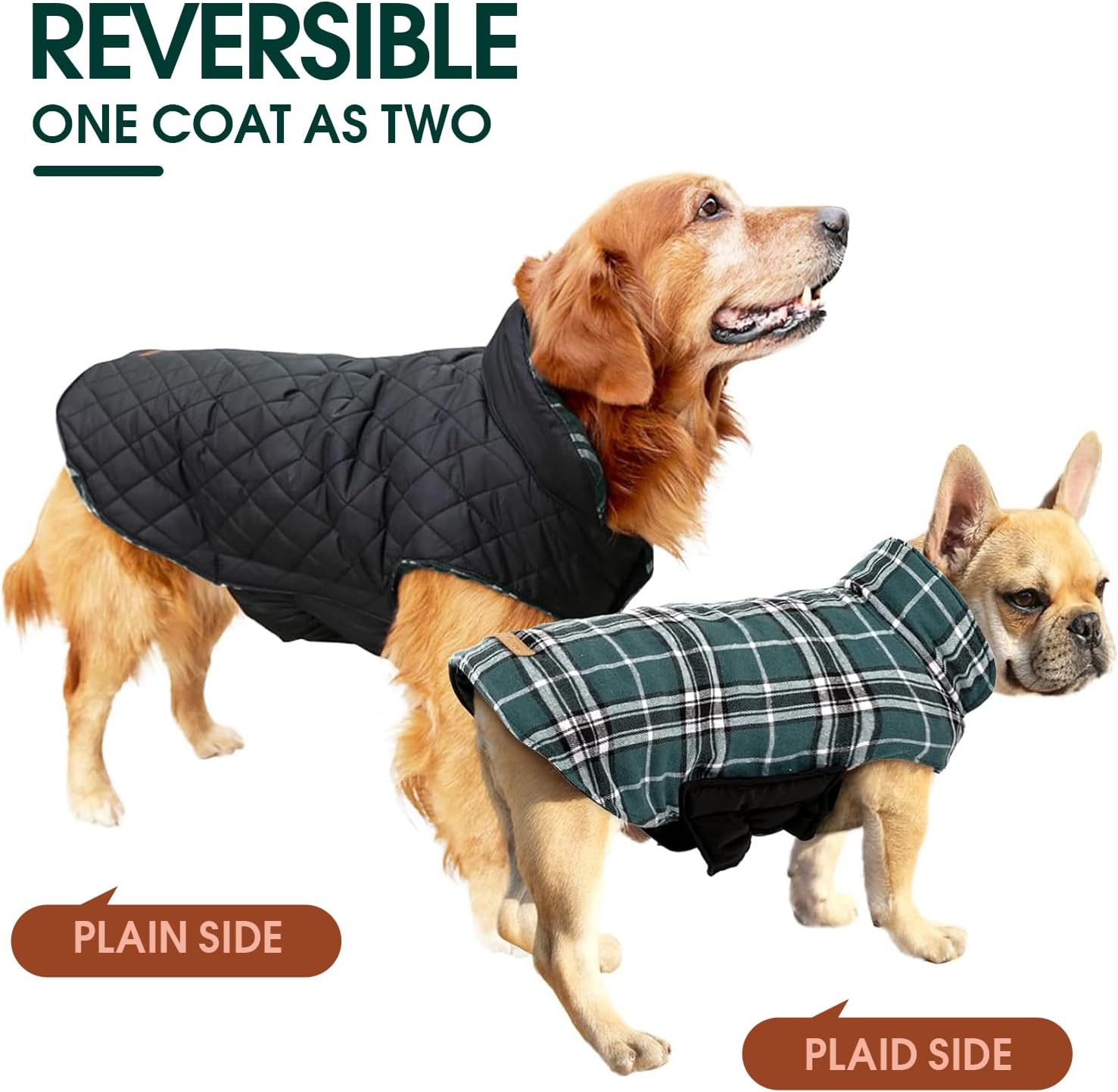 Reversible waterproof dog jacket with British check pattern