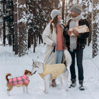 Reversible waterproof dog jacket with British check pattern