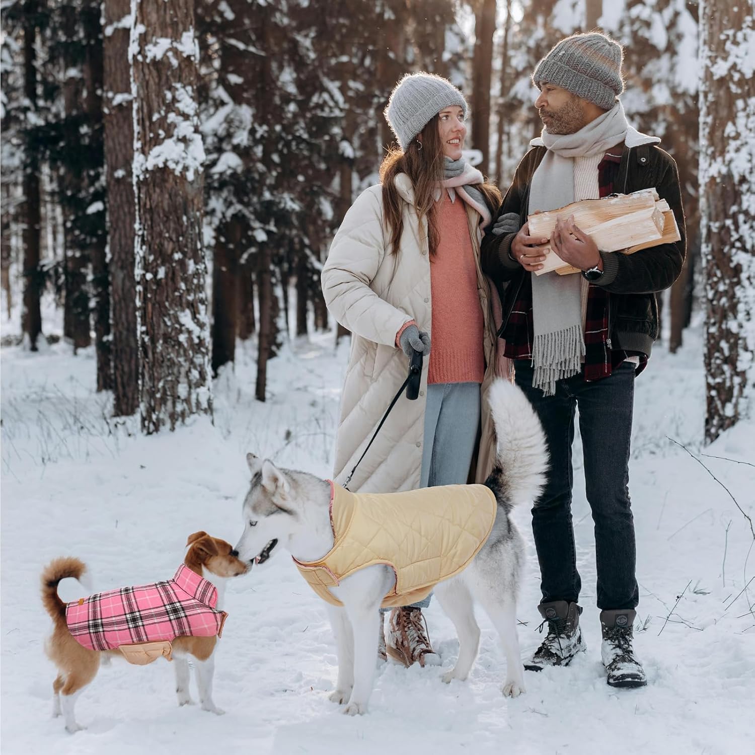 Reversible waterproof dog jacket with British check pattern
