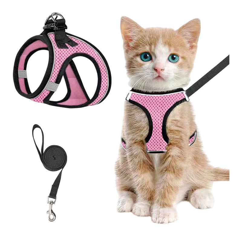 Katzengeschirr mit Luftnetz und Reflektoren