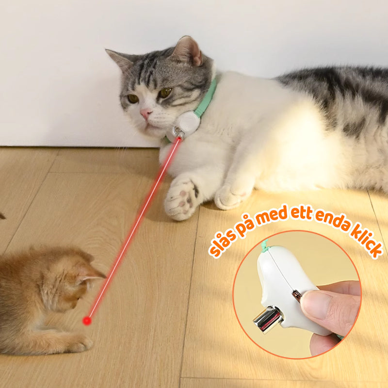 Laser pointer collar with USB charging for cats
