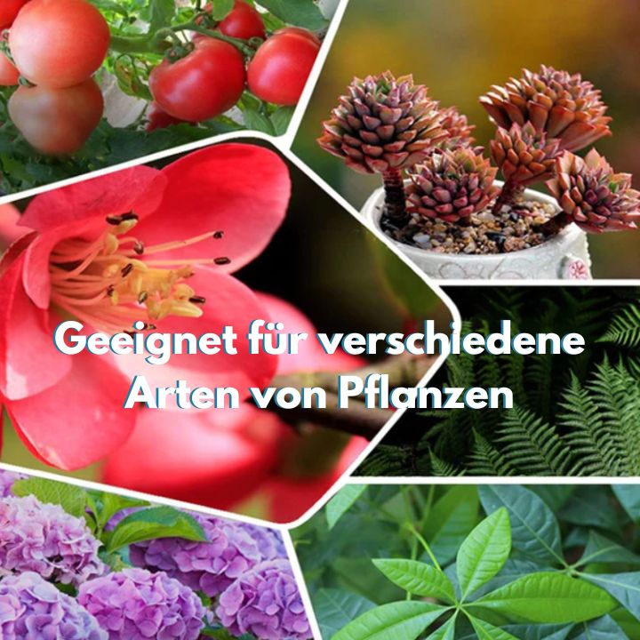 Plant Fertilizer Tablets – Natural Revival for All Plants