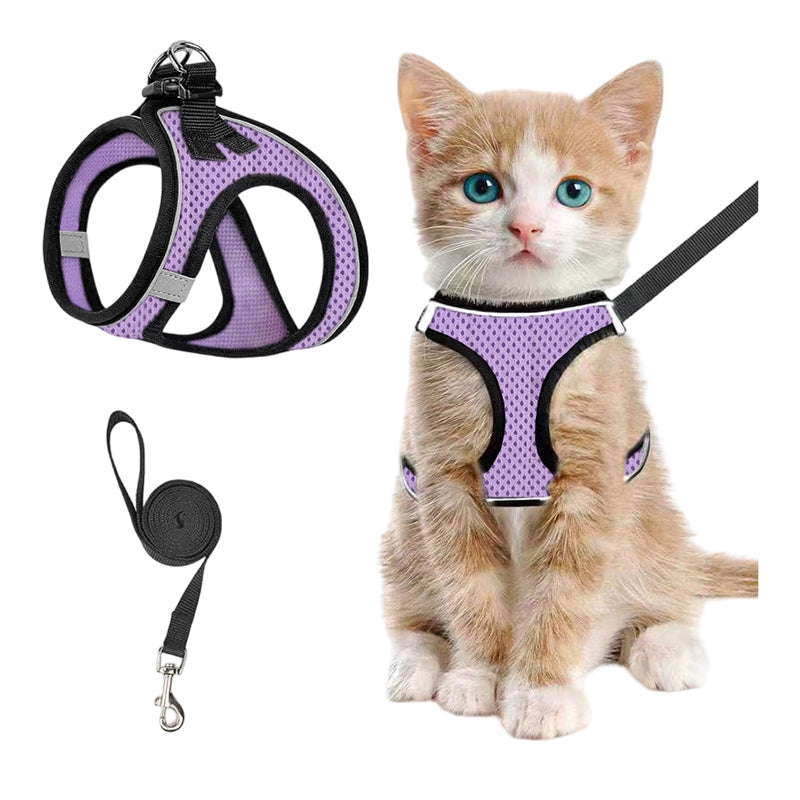 Katzengeschirr mit Luftnetz und Reflektoren