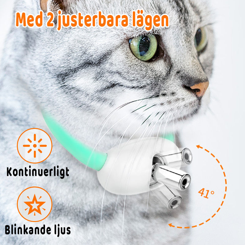 Laser pointer collar with USB charging for cats