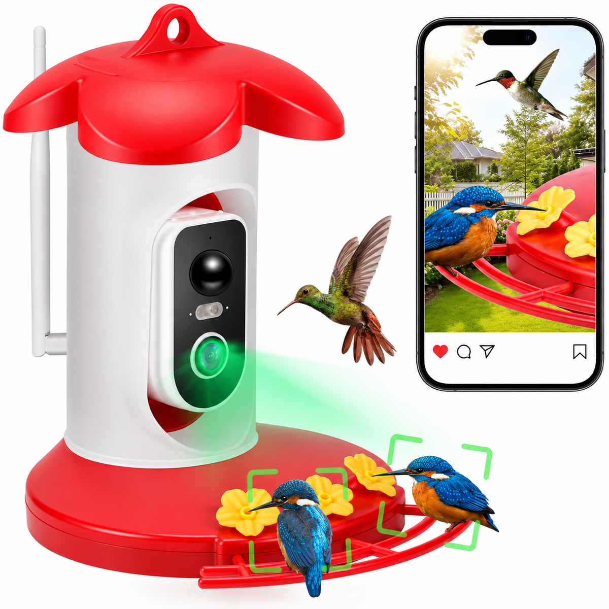 Kolibri-Futterspender mit 1080P Kamera und Wi-Fi
