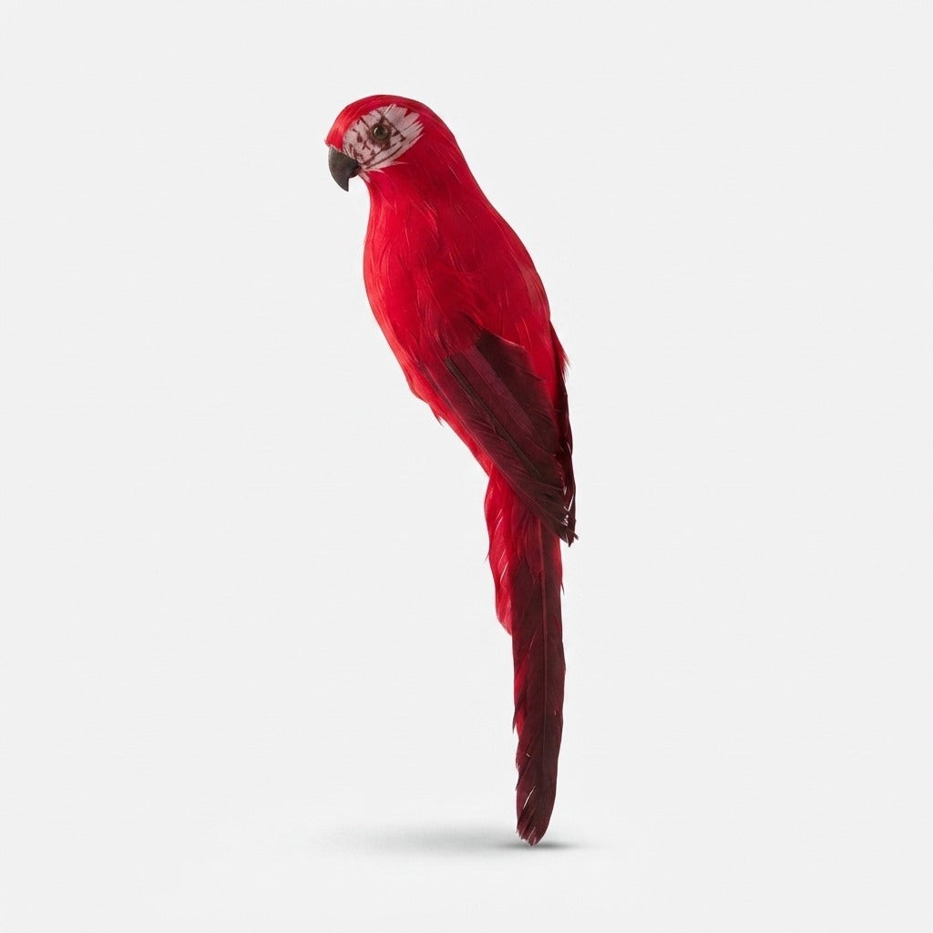 Studio collection image