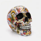 Studio collection image