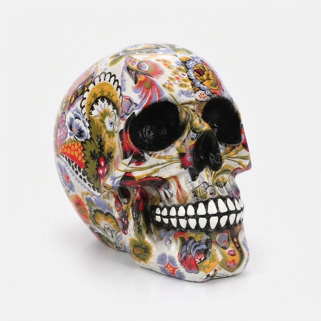 Studio collection image