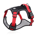 Hundegeschirr Set mit LED-Halsband – Anti-Zieh Design