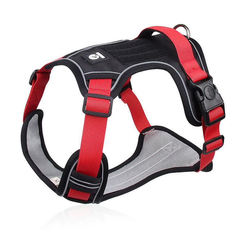 Hundegeschirr Set mit LED-Halsband – Anti-Zieh Design