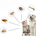 Natürliches Floh- & Zeckenhalsband Hund & Katze – 8 Monate Schutz, wasserdicht